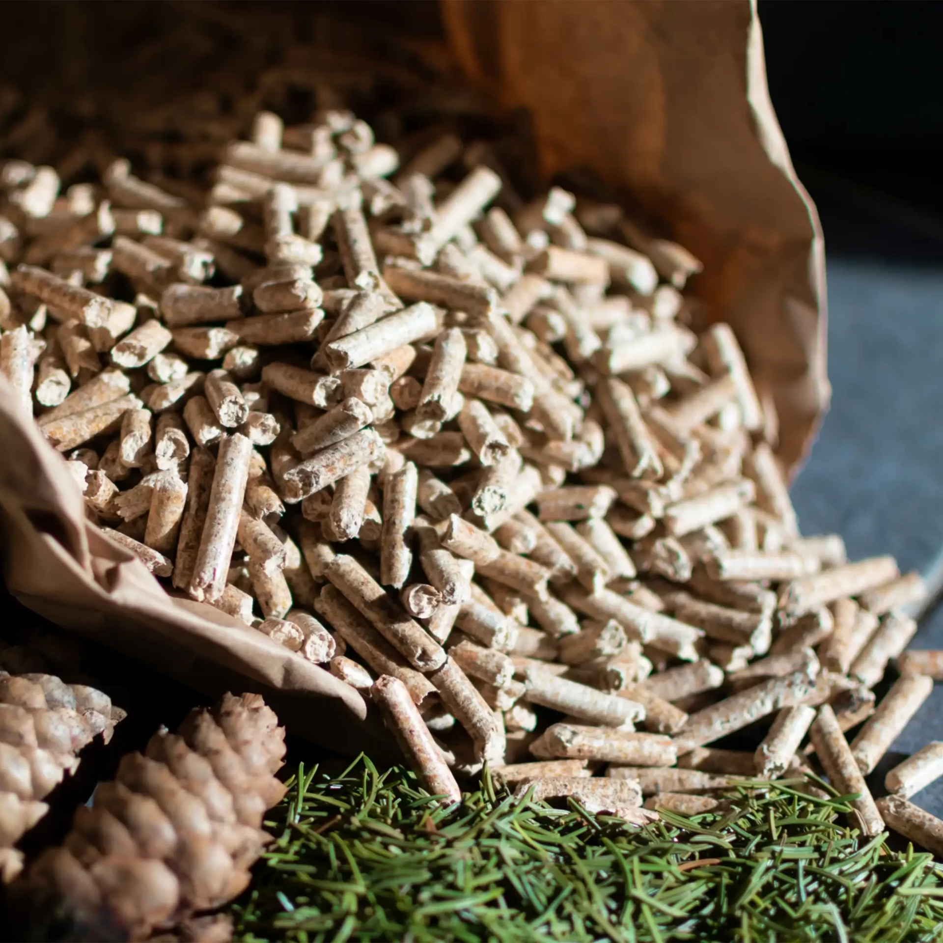 %100 Çam Pelet Yakıtı / 6mm / 20kg